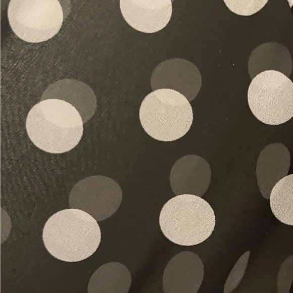 Free People sheer polka dot button down blouse Sz M - Picture 4 of 4